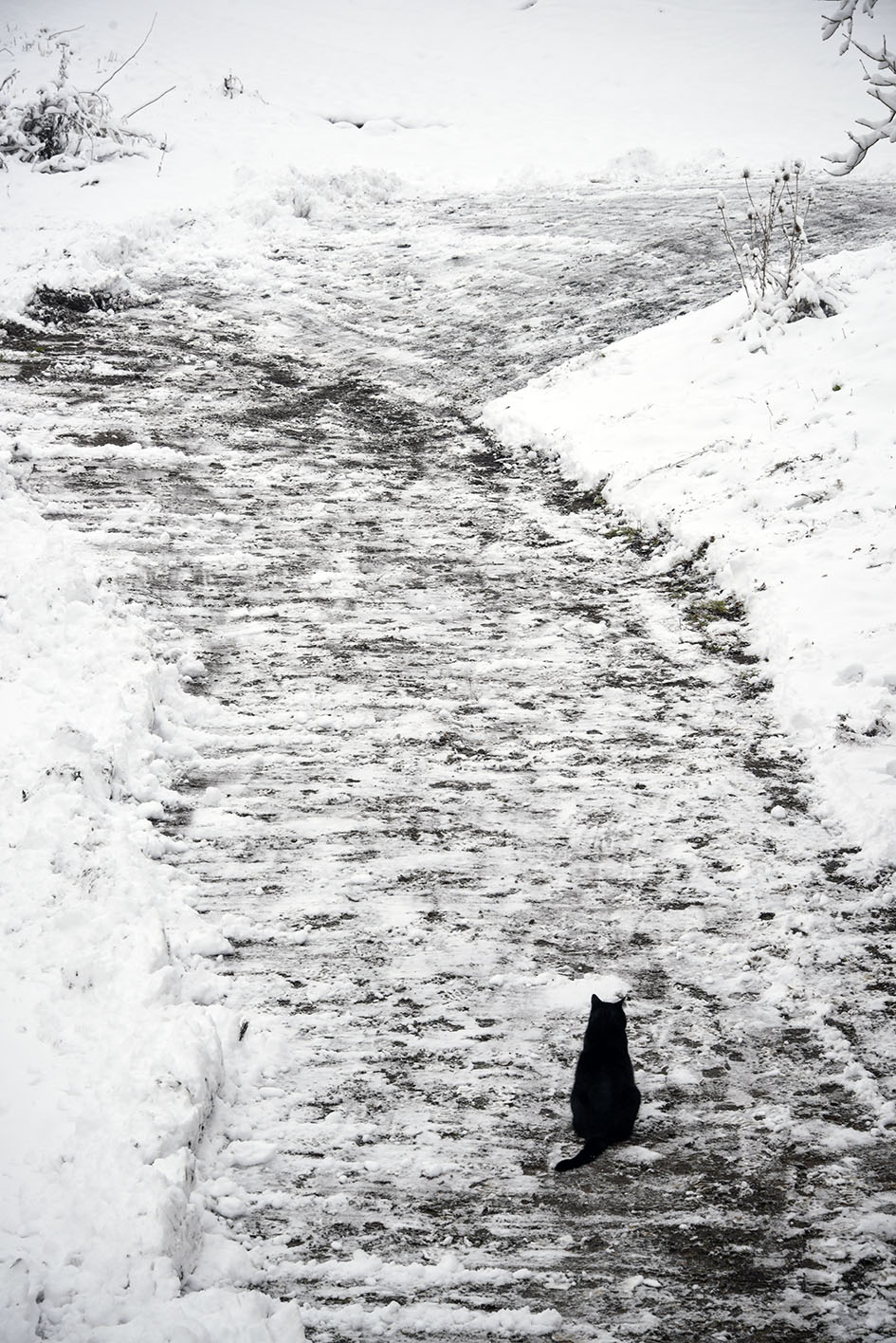 Parcours médical : un chemin long et un accueil glacial